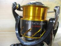 13セルテート 2004CH