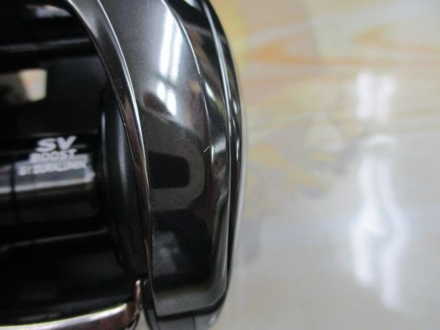 24スティーズ SV TW 100HL