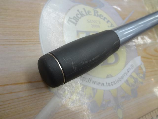 サーフリーダーEV 425CX-T