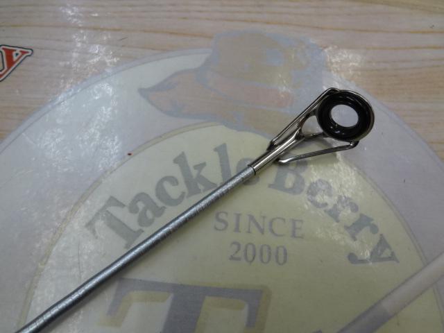 サーフリーダーEV 425CX-T