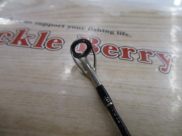 ファイナルディメンションTS 172H