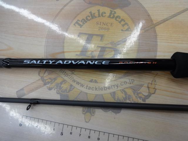 25ソルティーアドバンス ロックフィッシュ S83MH