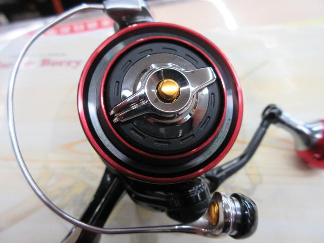 16BB-Xラリッサ 2500DHG