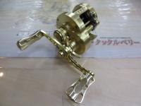 21カルカッタコンクエスト 100HG