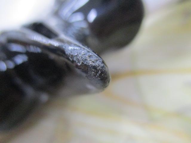 ウロボロス UBB-72M