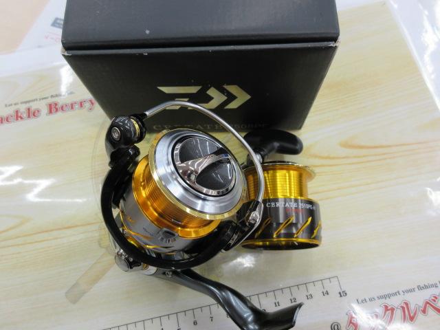 13セルテート 2508PE