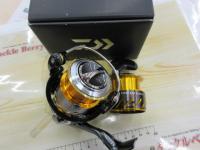 13セルテート 2508PE