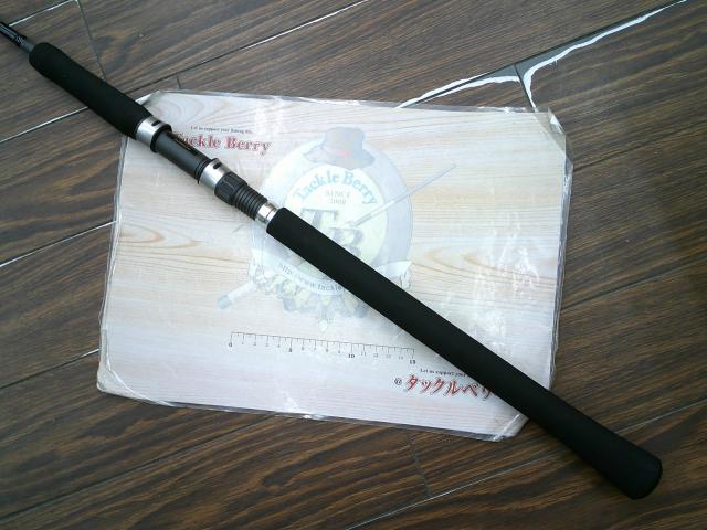 19ソルティーアドバンスジギング S60-3