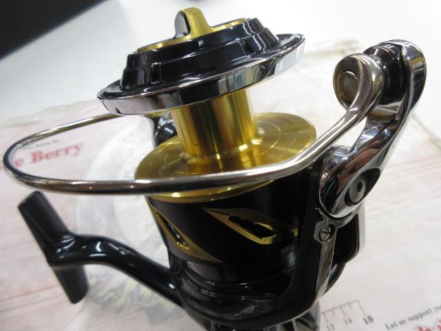 19ステラSW 14000PG