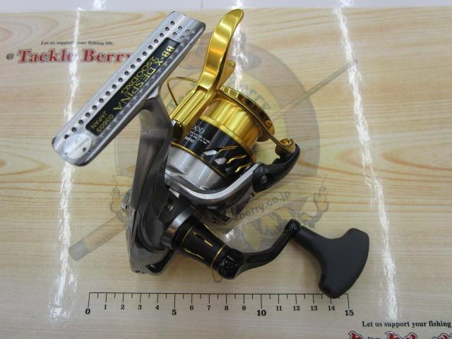 16BB-Xデスピナ 2500DXG