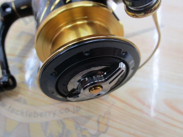 16BB-Xデスピナ 2500DXG