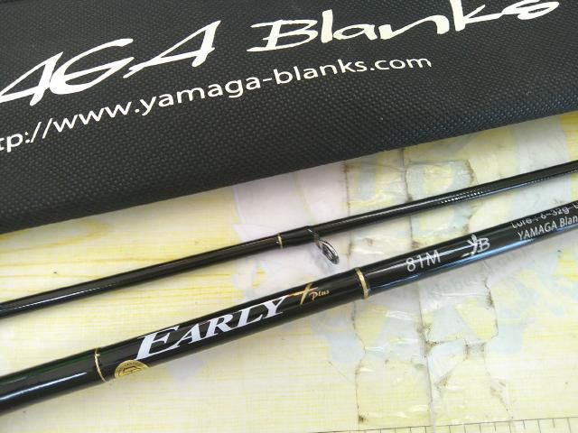 アーリープラス 81M