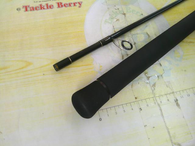 アーリープラス 81M