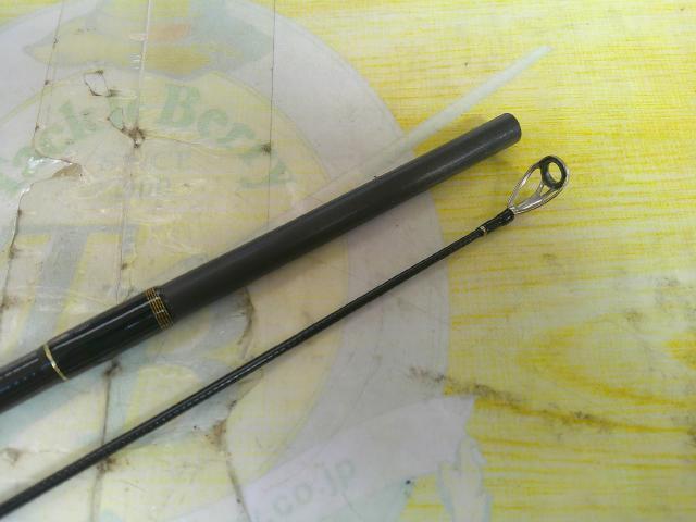 アーリープラス 81M