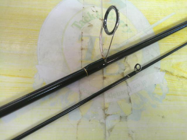 アーリープラス 81M