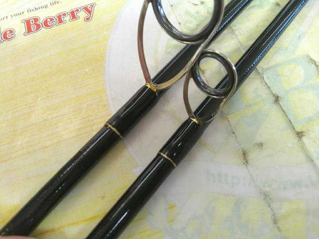 アーリープラス 81M