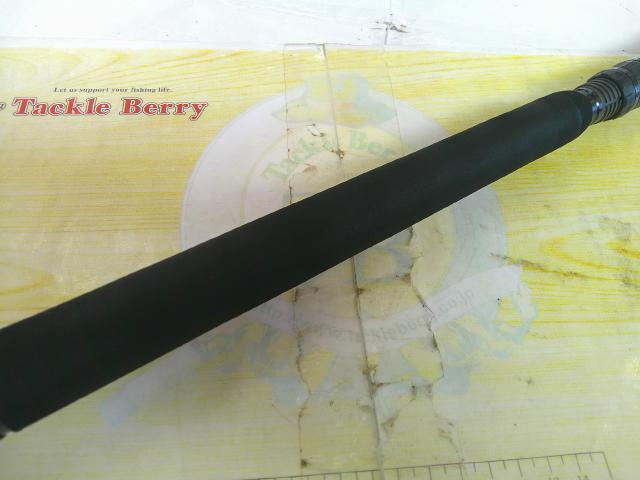 アーリープラス 81M