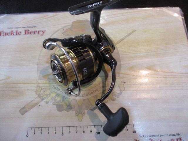 17セオリー 2508PE