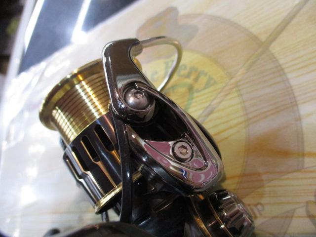 17セオリー 2508PE