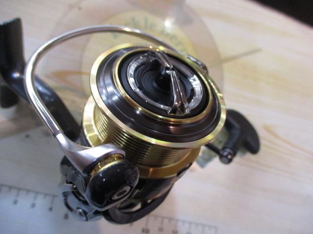 17セオリー 2508PE