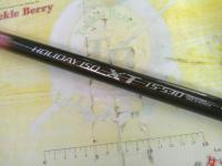 ホリデー磯XT 1.5-530