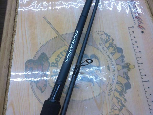 23ディアルーナ S96ML