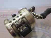 カルカッタ 100XT