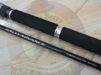 19ソルティーアドバンスライトジギング S63ML