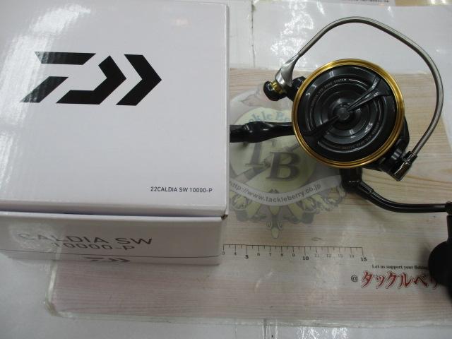 22カルディアSW 10000-P
