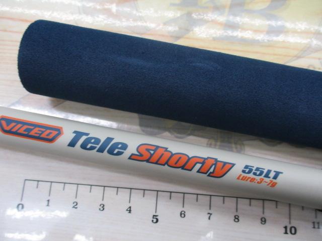 ビセオテレショーティー55LT