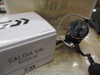 22カルディアSW 8000-H