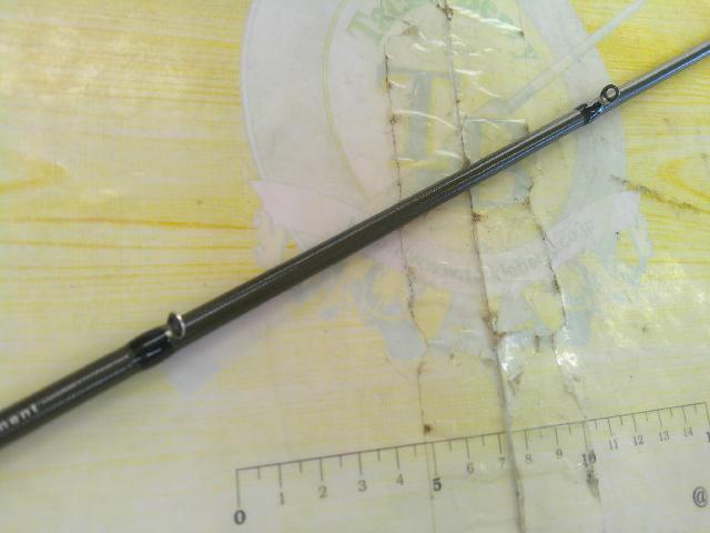 ワイルドサイド WSC69MH Frog Game Special