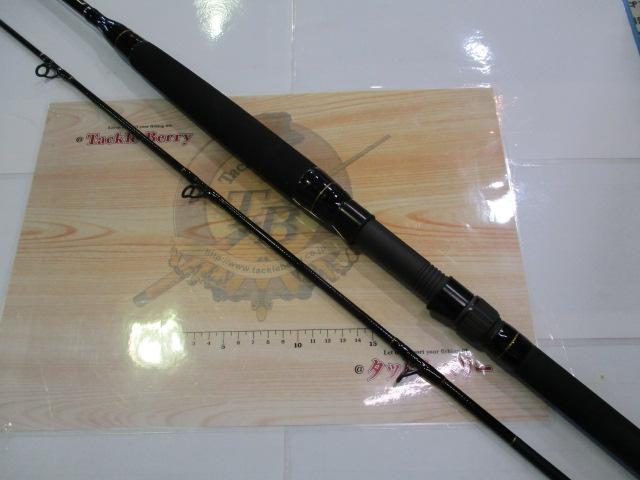 カーボンナビゲーター50-300