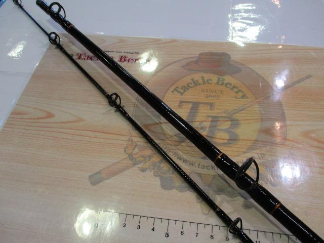 カーボンナビゲーター50-300