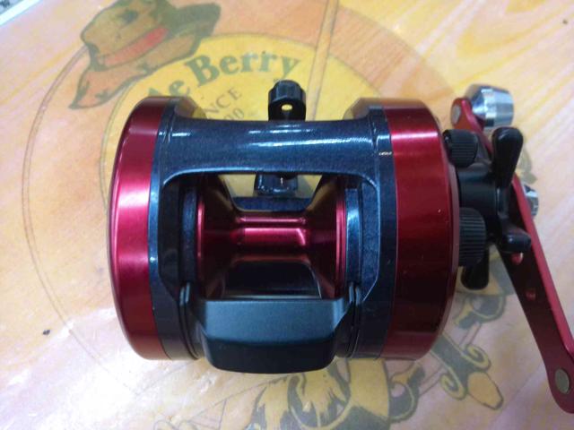 17ダイナスター 250