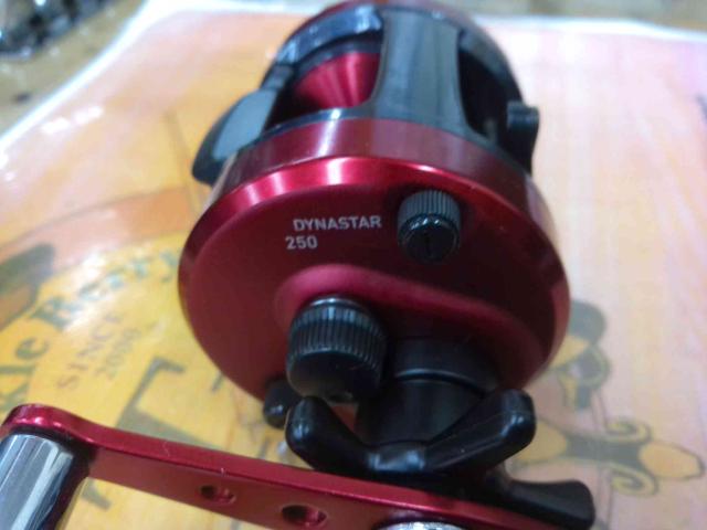 17ダイナスター 250