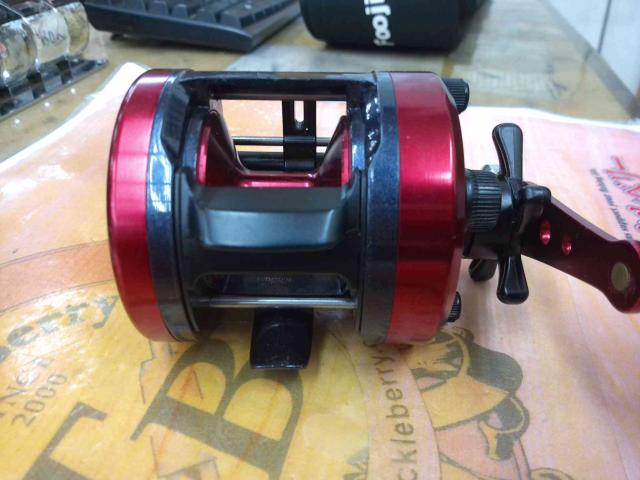 17ダイナスター 250