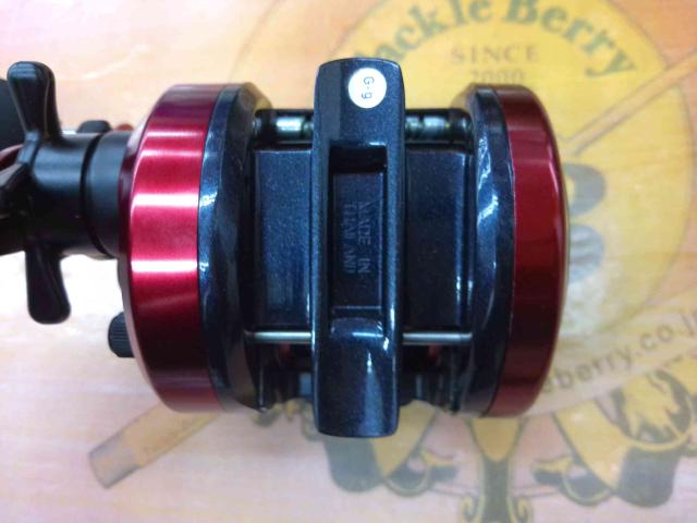 17ダイナスター 250