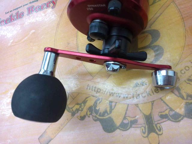 17ダイナスター 250