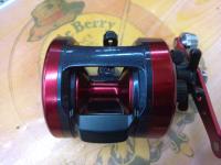 17ダイナスター 250