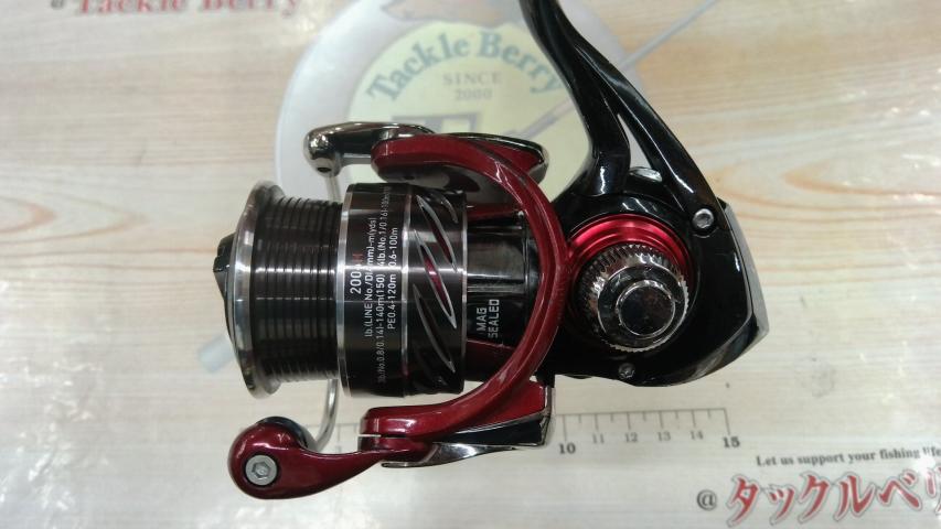 14月下美人 2004H