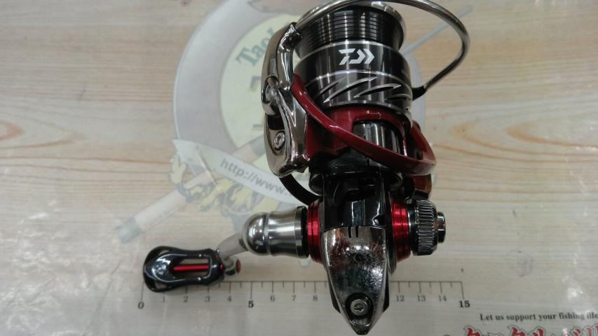 14月下美人 2004H