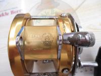 インターナショナル20