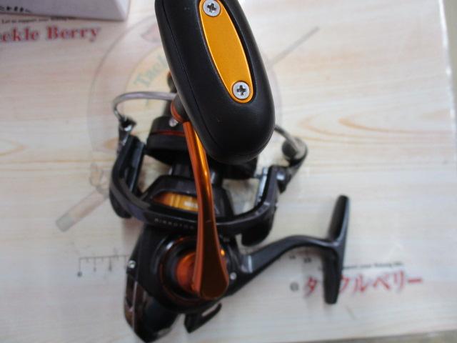 19キャスティズム 25 15PE