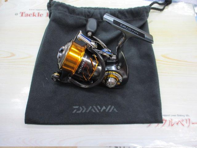 13セルテート 2506H