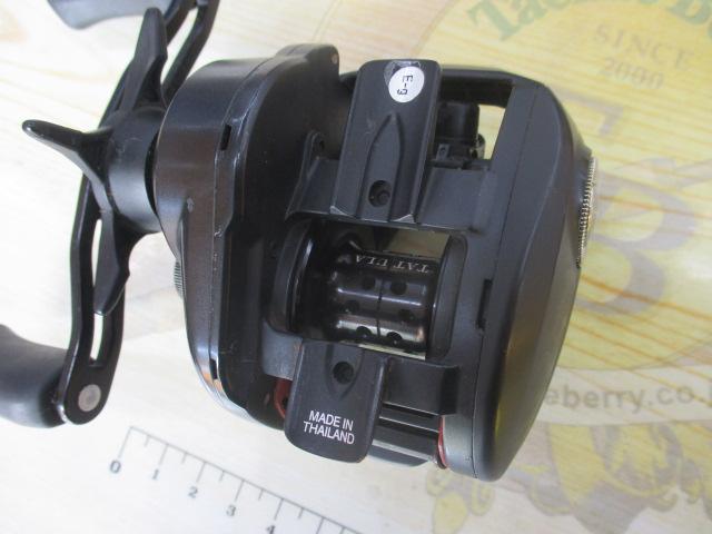 タトゥーラ TW 100H