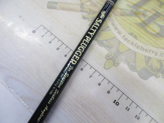 ソルティープラッガー SPS-862