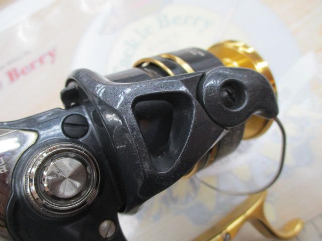 11BB-Xデスピナ C3000DXG