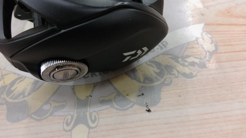 24タトゥーラ TW 100