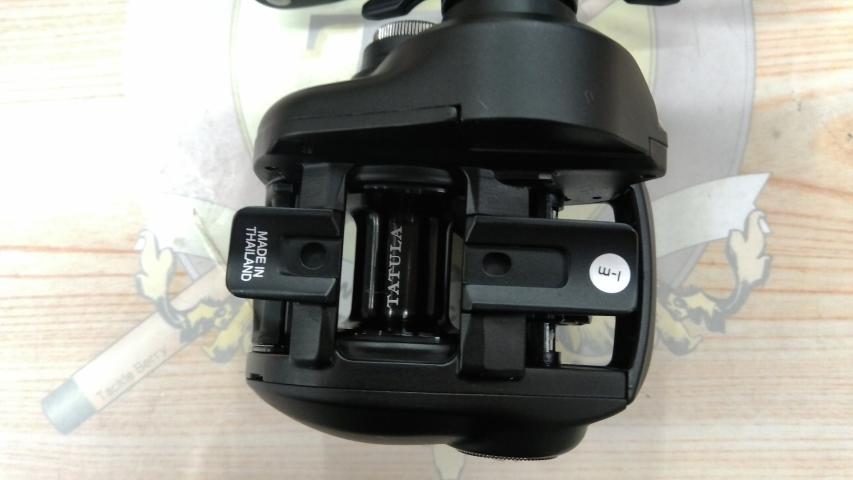 24タトゥーラ TW 100